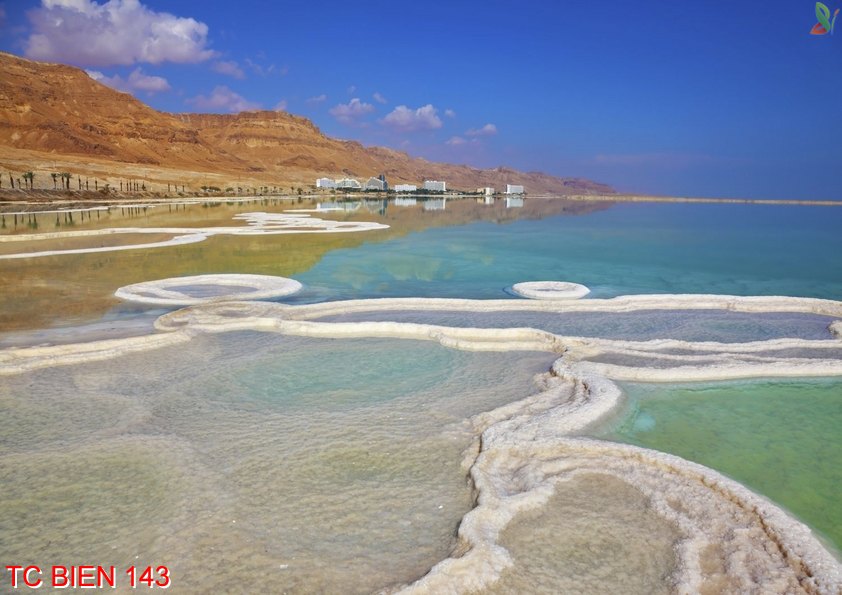 Tranh cảnh biển 143