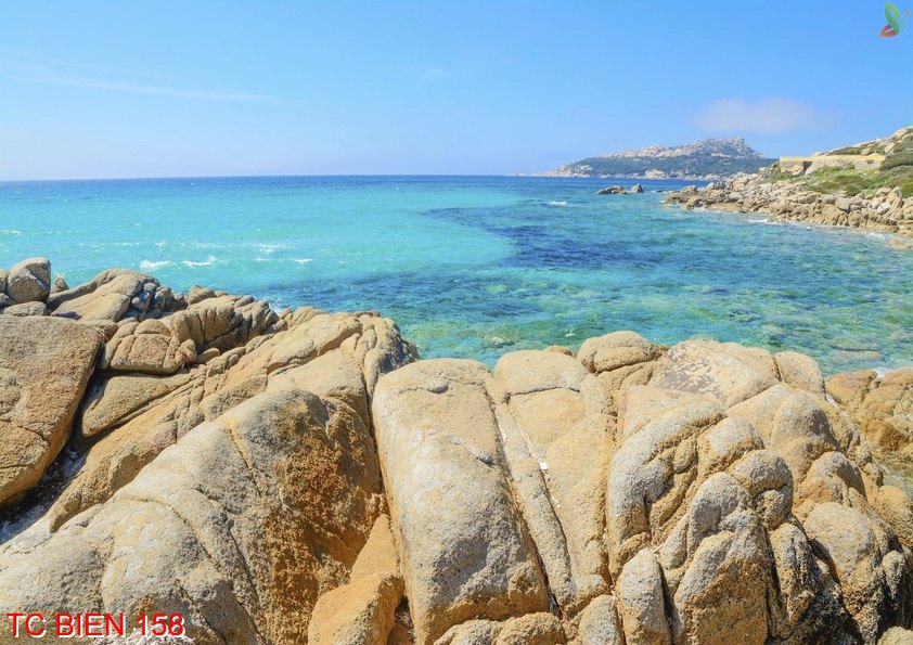 Tranh cảnh biển 158