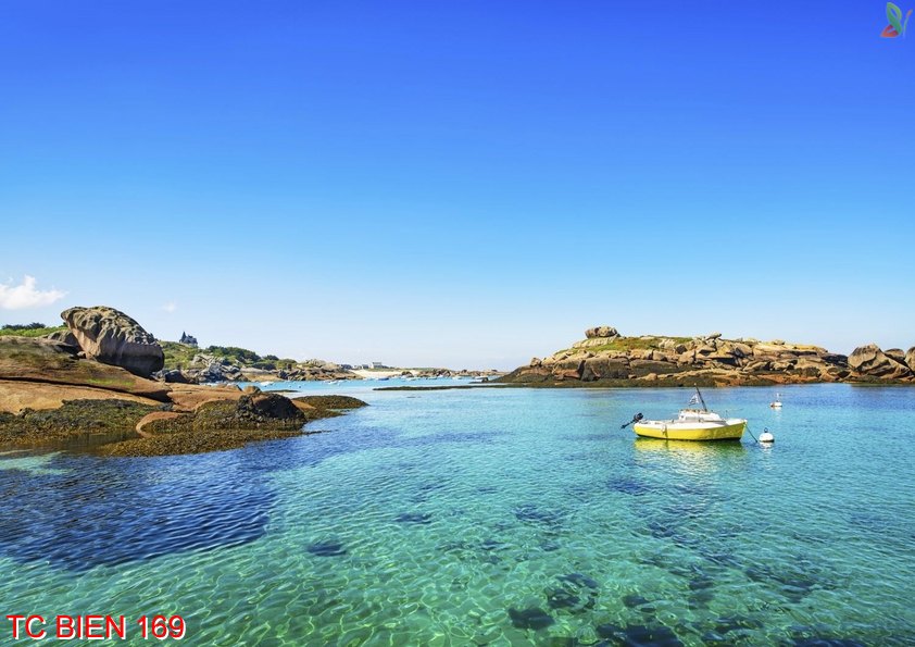 Tranh cảnh biển 169