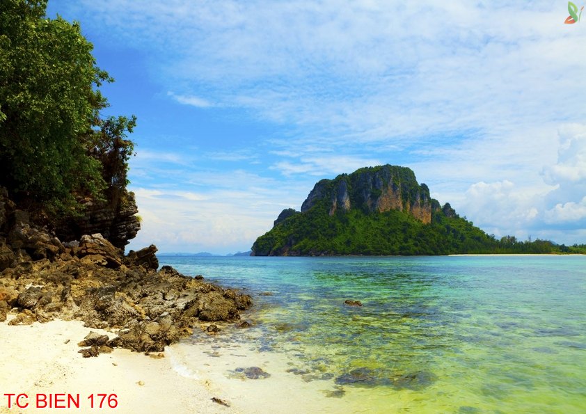 Tranh cảnh biển 176