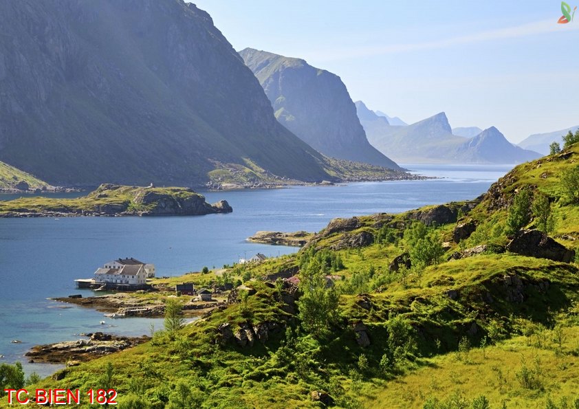 Tranh cảnh biển 182