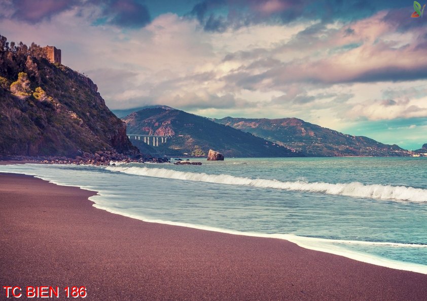 Tranh cảnh biển 186