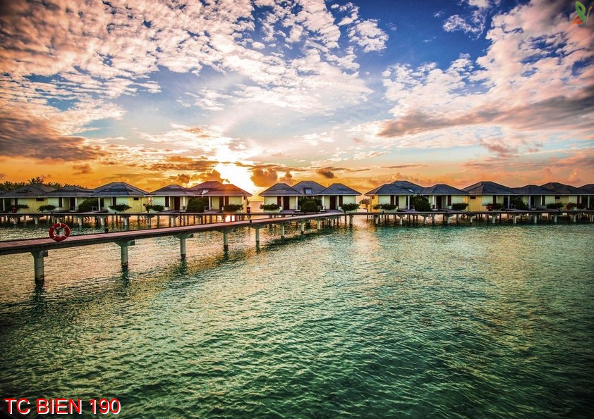 Tranh cảnh biển 190