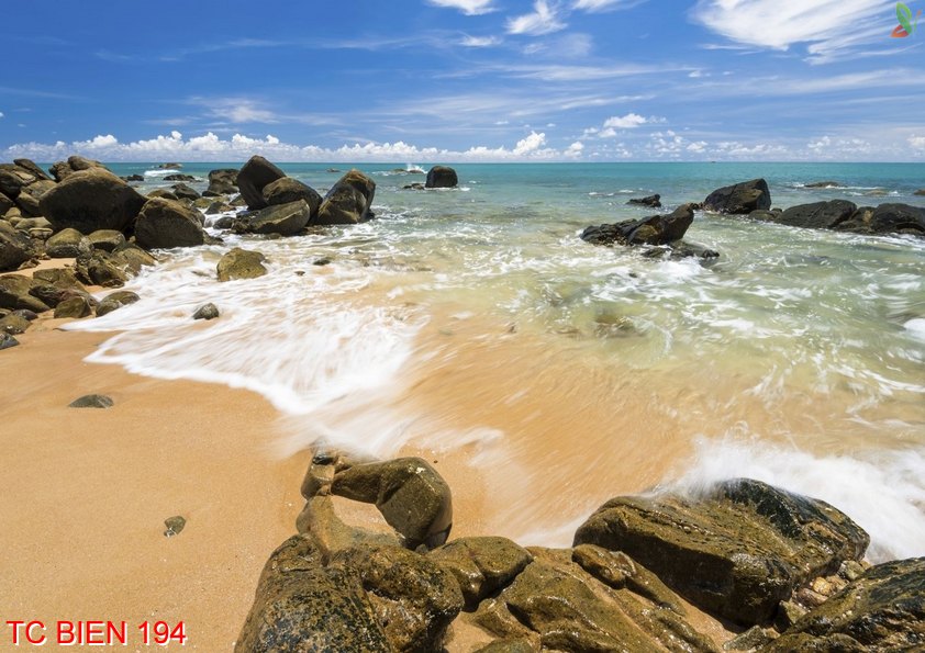 Tranh cảnh biển 194