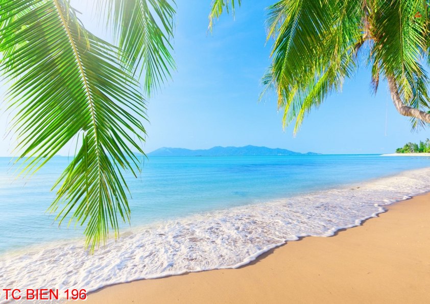 Tranh cảnh biển 196