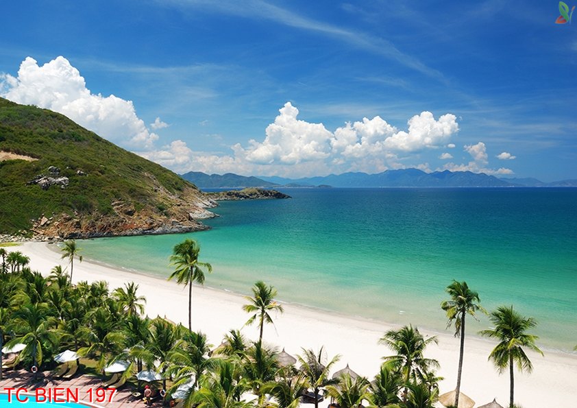 Tranh cảnh biển 197
