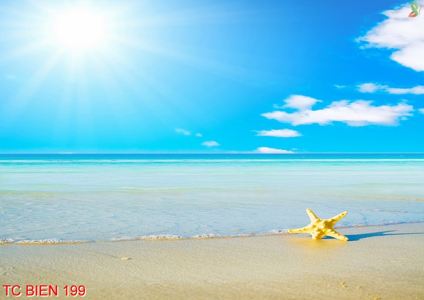 Tranh cảnh biển 199