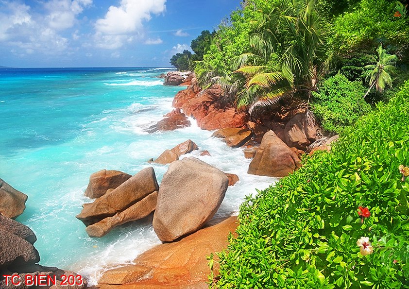 Tranh cảnh biển 203