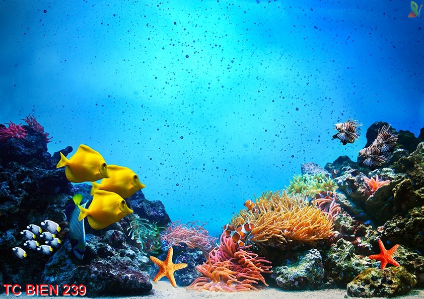 Tranh cảnh biển 239