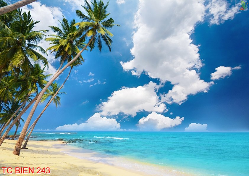 Tranh cảnh biển 243