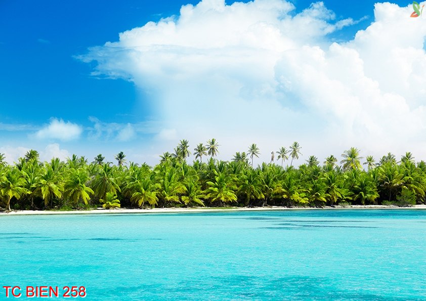 Tranh cảnh biển 258