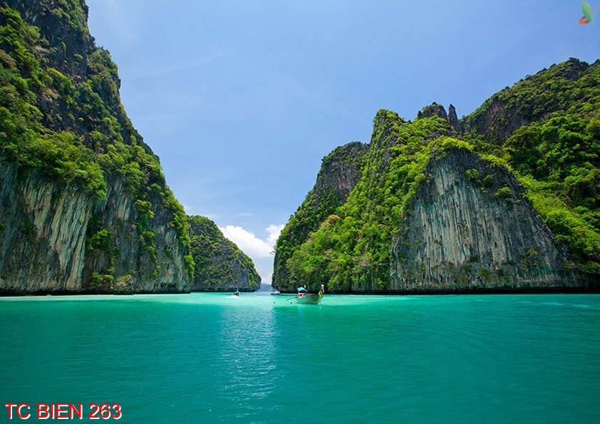 Tranh cảnh biển 263