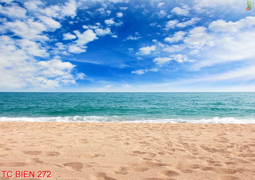 Tranh cảnh biển 272