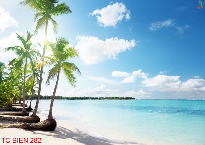 Tranh cảnh biển 282