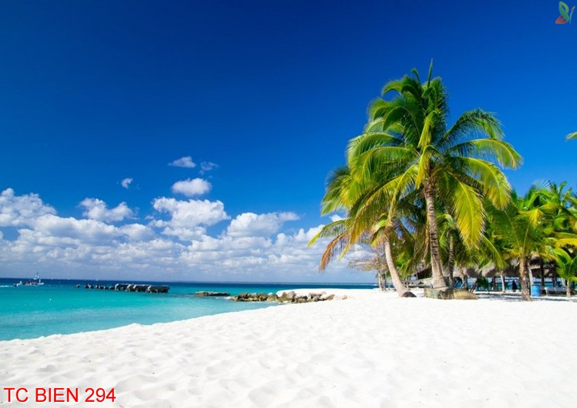 Tranh cảnh biển 294