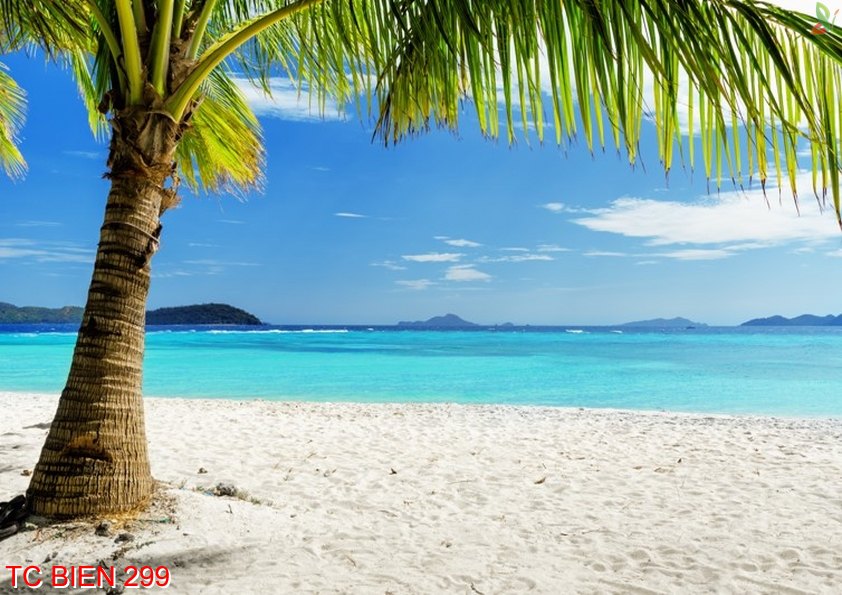 Tranh cảnh biển 299