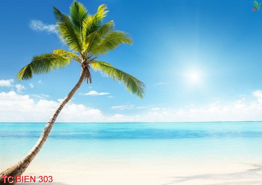 Tranh cảnh biển 303