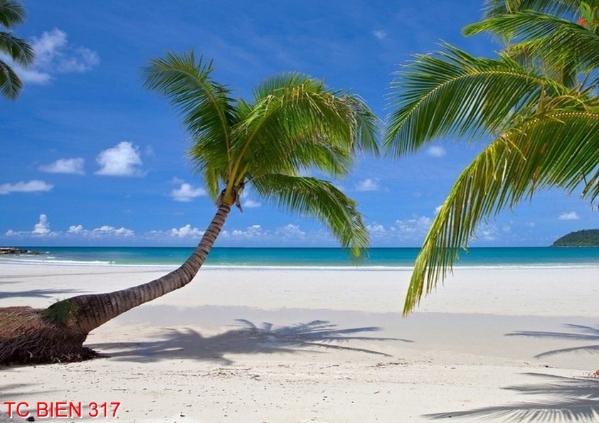 Tranh cảnh biển 317