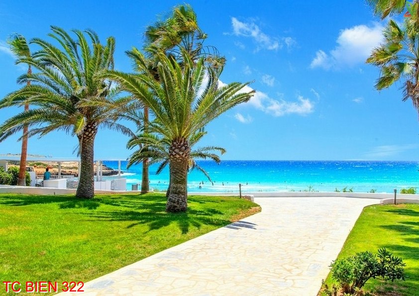 Tranh cảnh biển 322