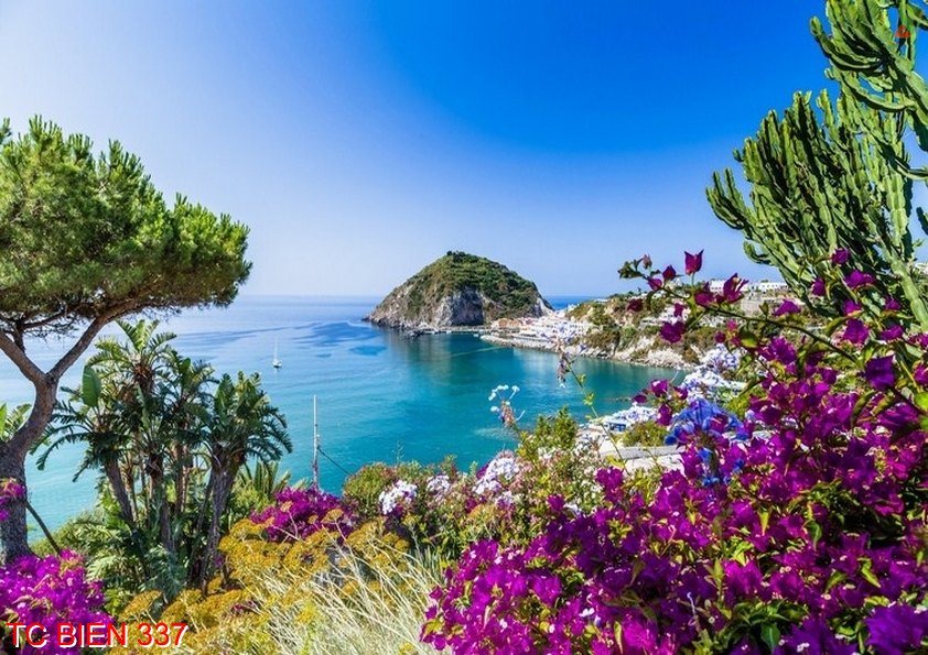 Tranh cảnh biển 337