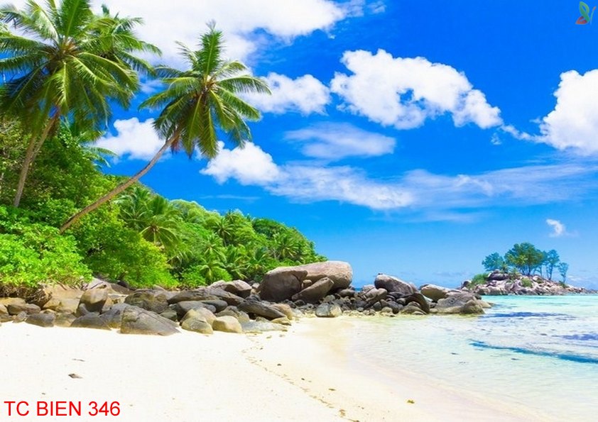Tranh cảnh biển 346