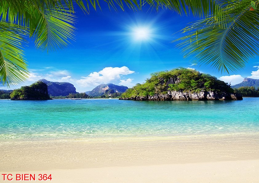 Tranh cảnh biển 364