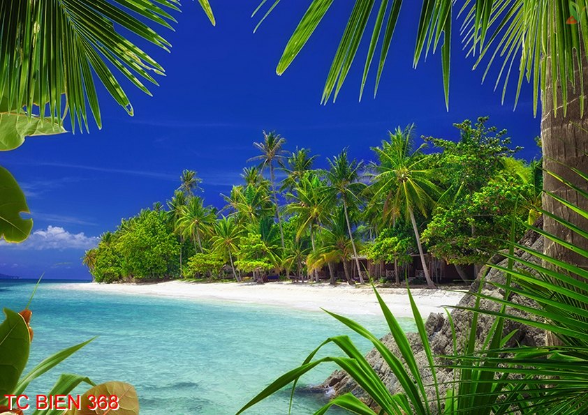 Tranh cảnh biển 368