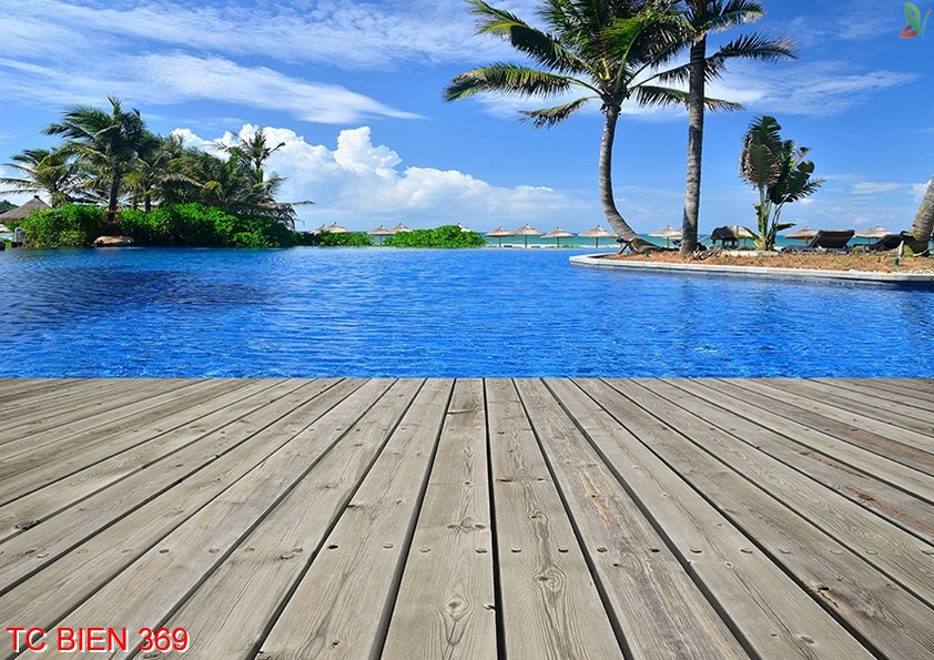 Tranh cảnh biển 369