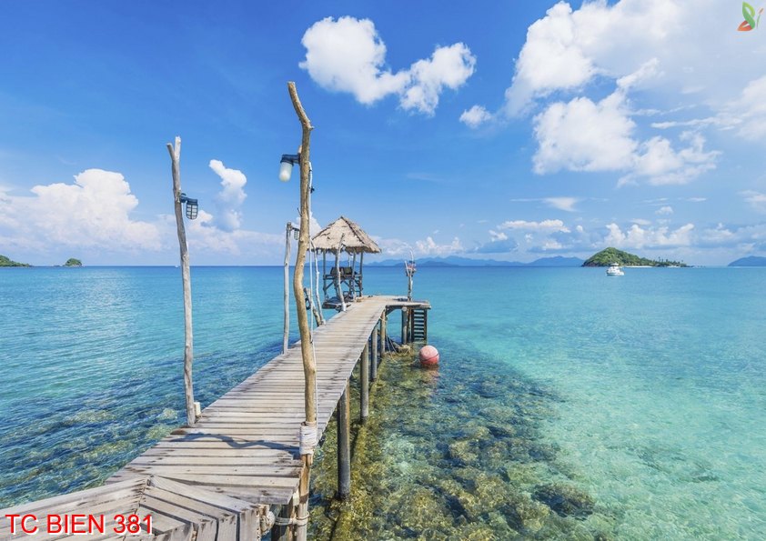 Tranh cảnh biển 381