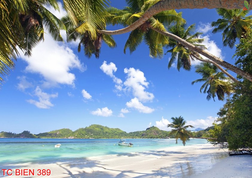 Tranh cảnh biển 389