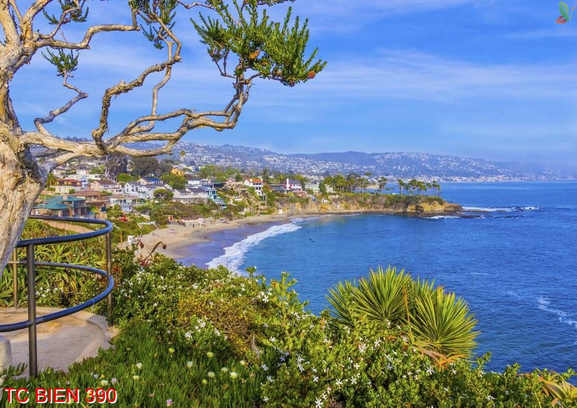 Tranh cảnh biển 390