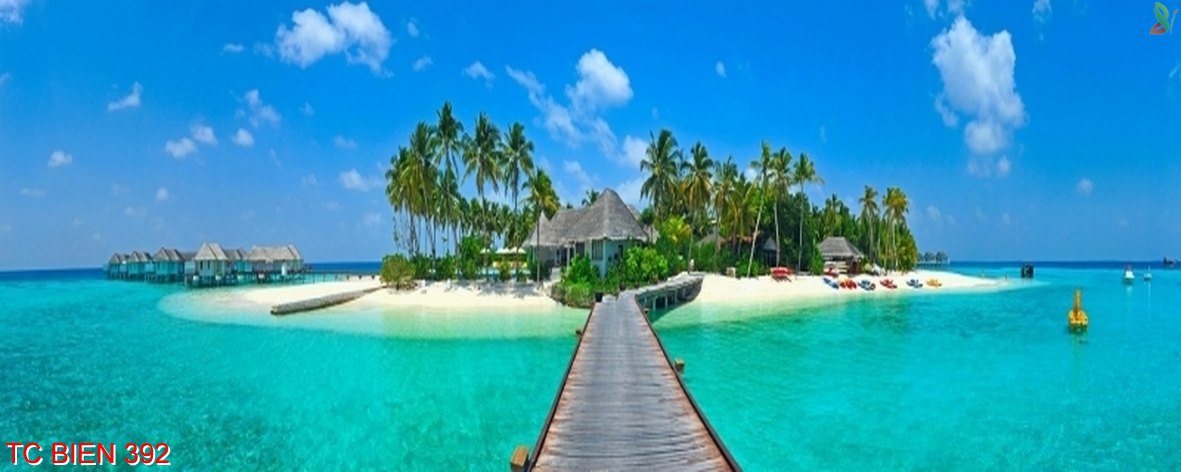 Tranh cảnh biển 392