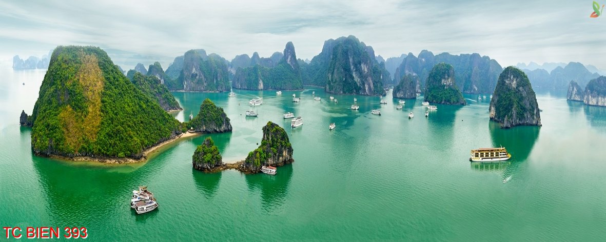 Tranh cảnh biển 393