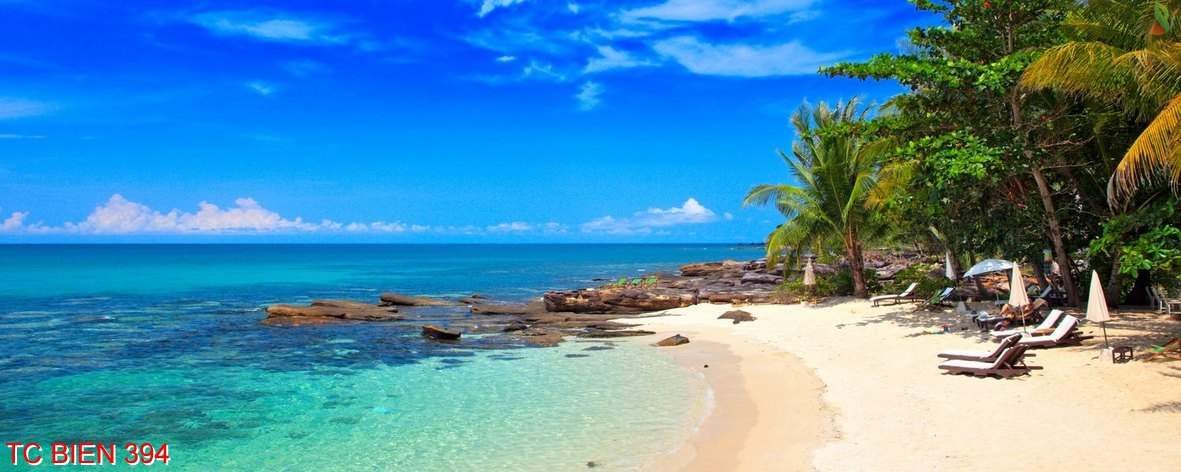 Tranh cảnh biển 394