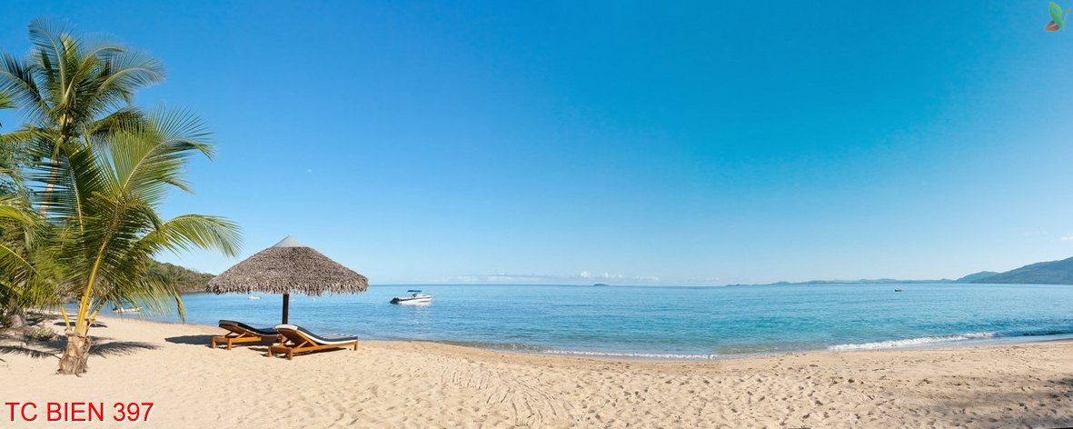 Tranh cảnh biển 397