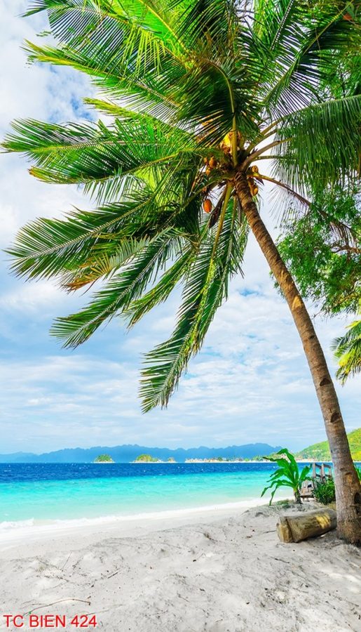 Tranh cảnh biển 424