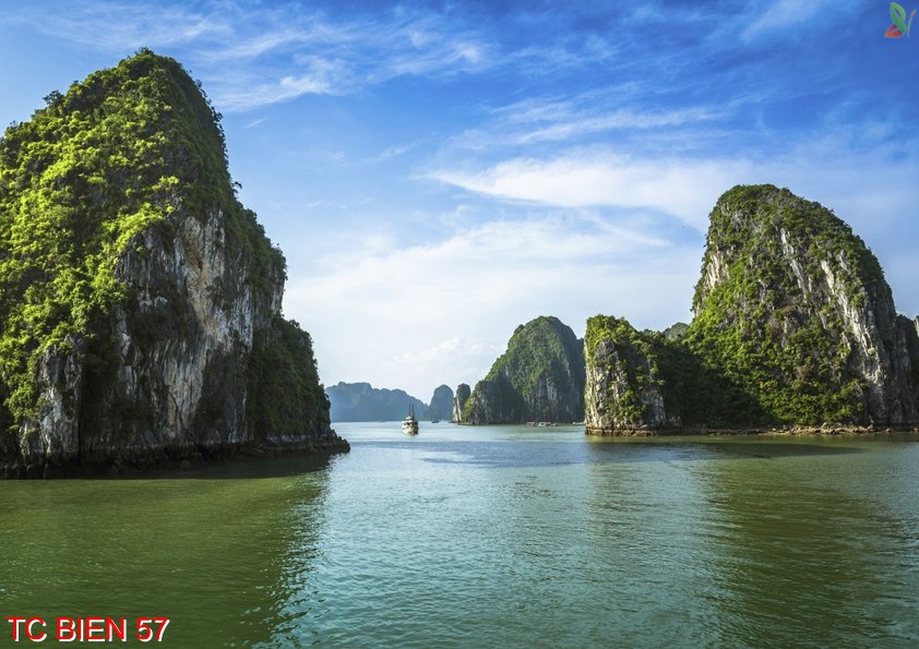 Tranh cảnh biển 57