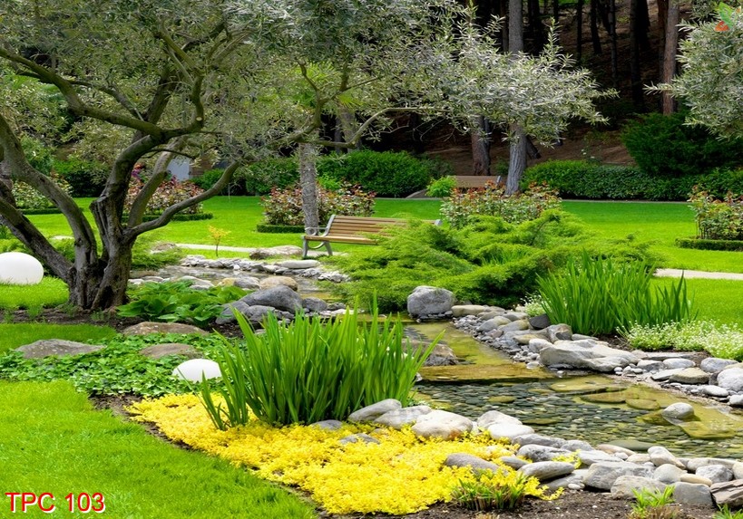 Tranh phong cảnh 103