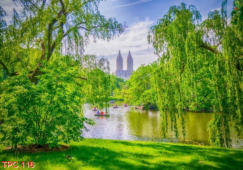 Tranh phong cảnh 116