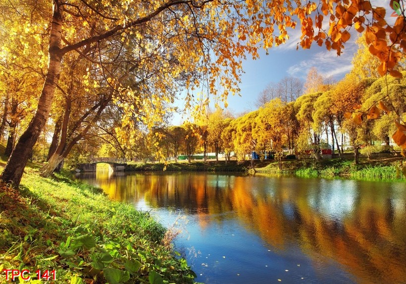 Tranh phong cảnh 141