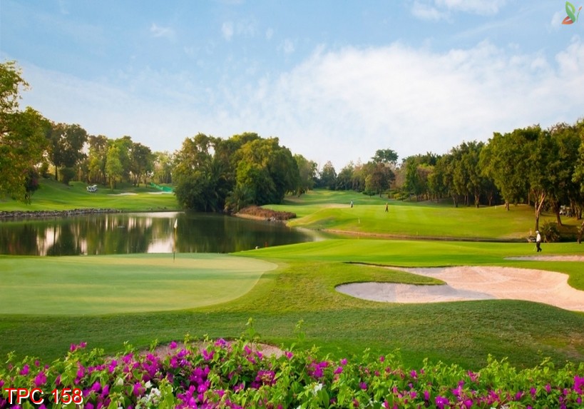 Tranh phong cảnh 158