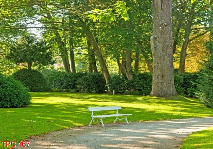 Tranh phong cảnh 167