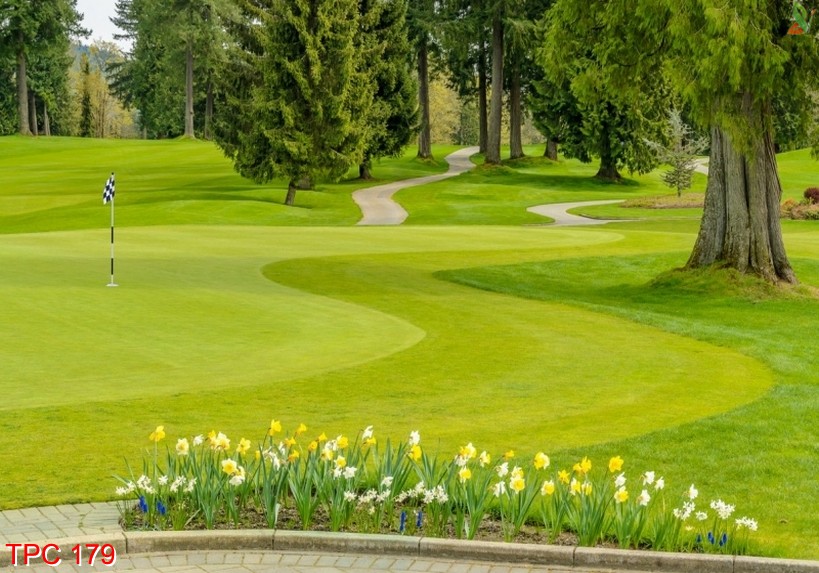 Tranh phong cảnh 179