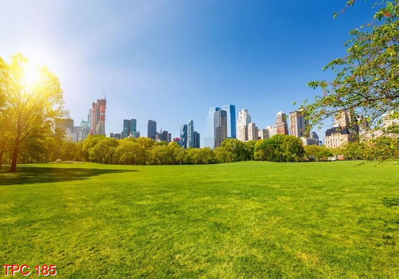 Tranh phong cảnh 185