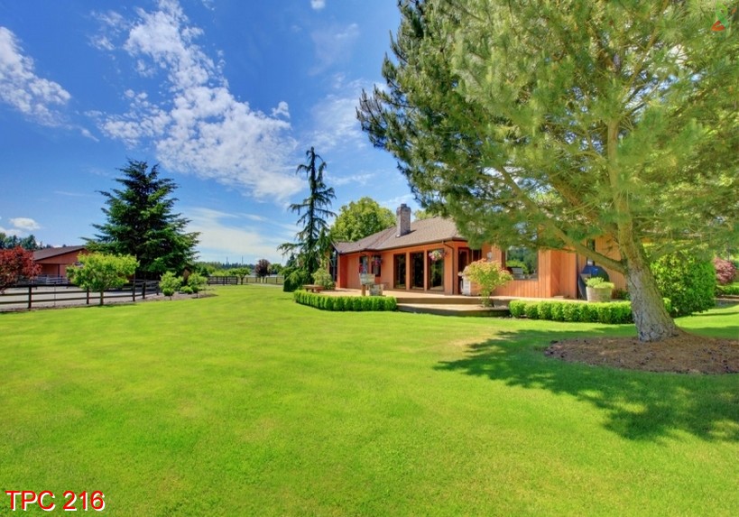 Tranh phong cảnh 216