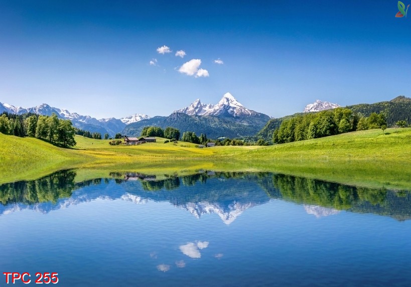 Tranh phong cảnh 255