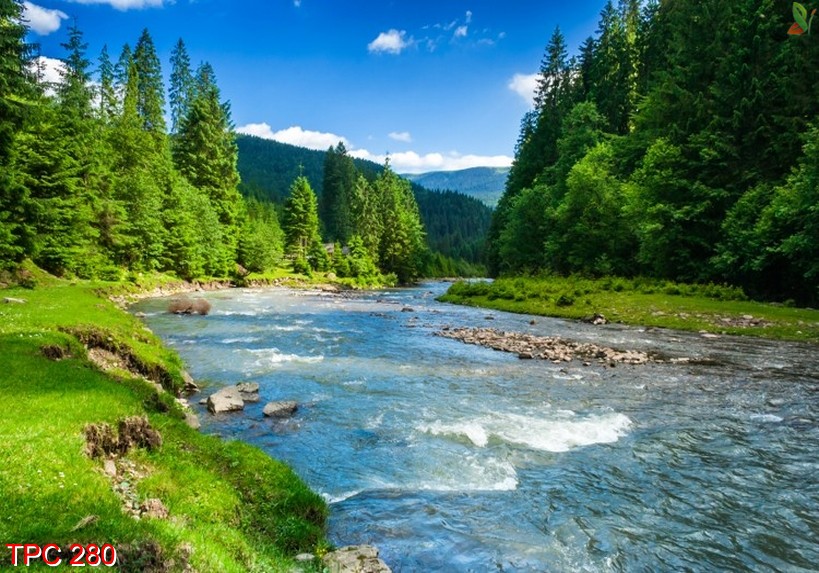 Tranh phong cảnh 280