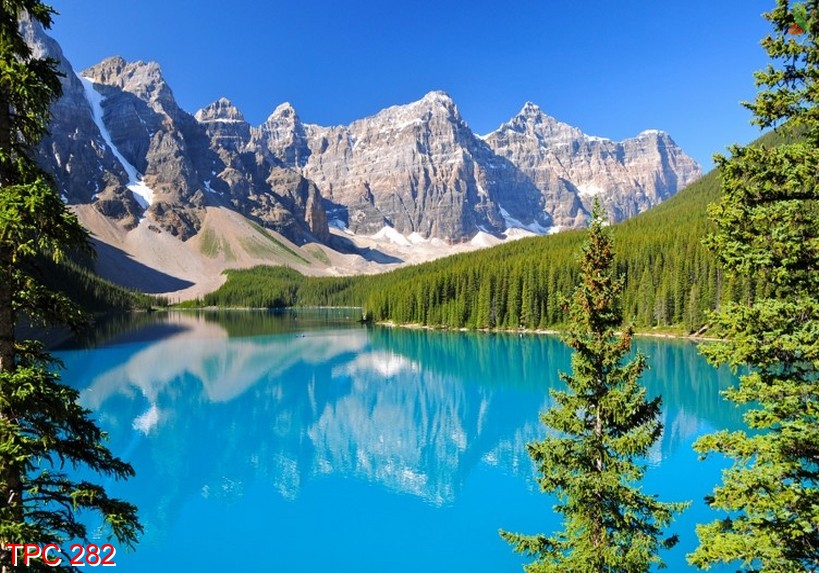 Tranh phong cảnh 282