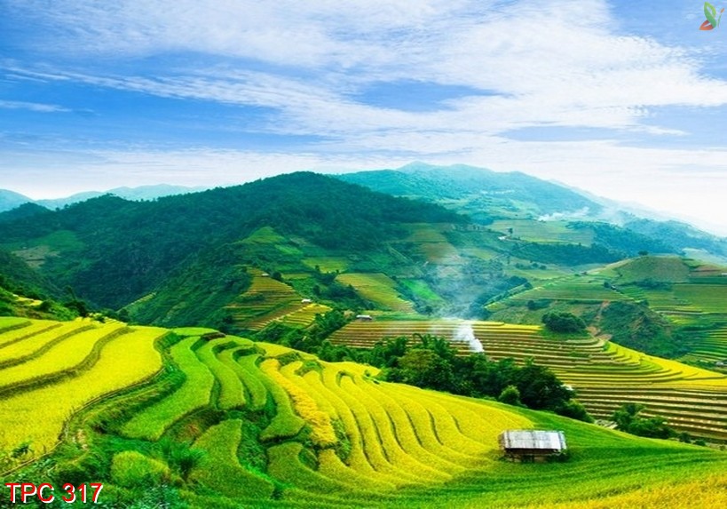 Tranh phong cảnh 317