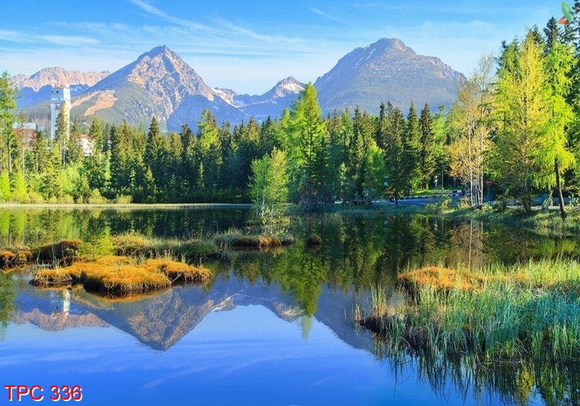 Tranh phong cảnh 336